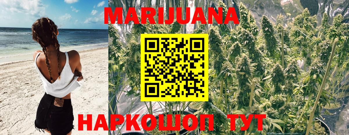 Муравленко  Каннабис план  Марихуана тримм  Бошки Шишки Bruce Banner  Вход с VPN  Шишки марихуана сатива 